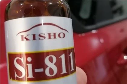 811 Sigilanti ceramici